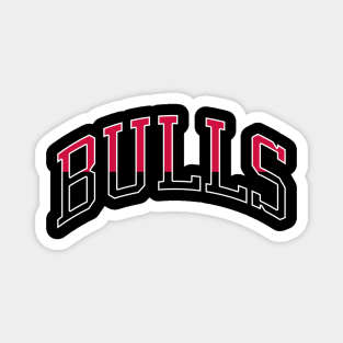 Bulls Magnet