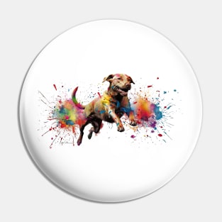 Paint Ball Dog Pin