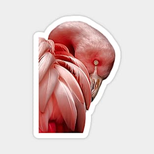 Flamingo Portrait Magnet