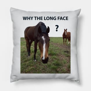 Why The Long Face? - Funny Horse Pillow