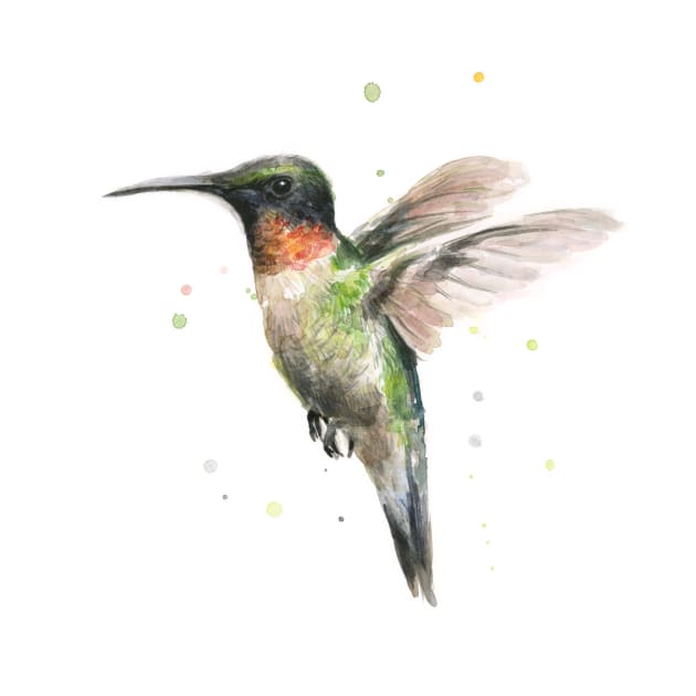 Hummingbird by Olechka