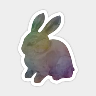 Rainbow rabbit Magnet