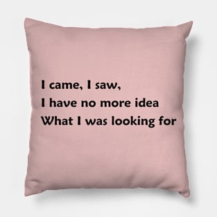 I came, I saw,  I have no more idea What I was looking for Pillow