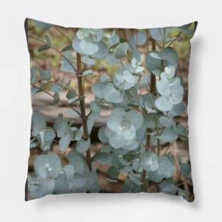 Silver Dollar Eucalyptus Leaves Pillow