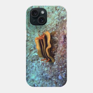 Chromodoris joshi nudibranch Phone Case