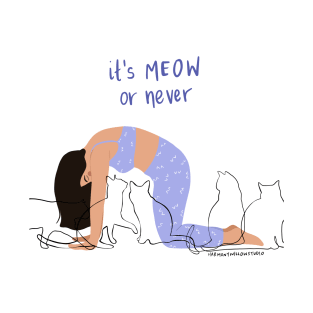 Meow or never T-Shirt