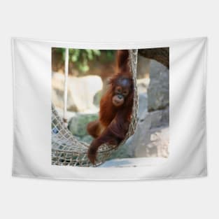 OrangUtan20150905 Tapestry