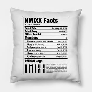 NMIXX Nutritional Facts 2 Pillow