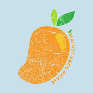 maintenance phase - orange vintage T-Shirt