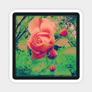 Wild Rose of the Forest Magnet