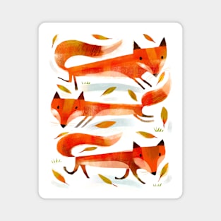 Foxes Magnet