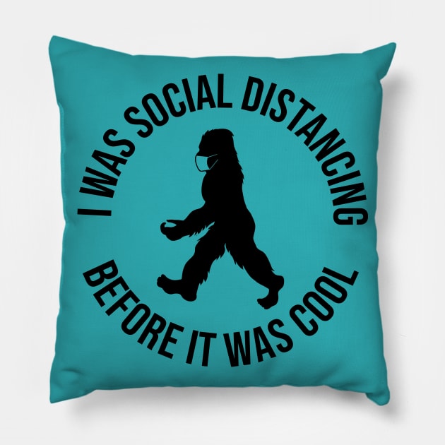 Before It Was Cool Pillow by Design Anbay