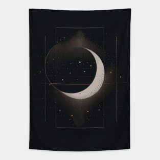 Geometric Illustration of Space Tapestry