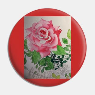 Pink rose watercolor painting Pin