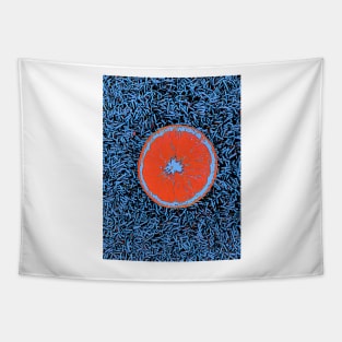 Orange Slice Tapestry