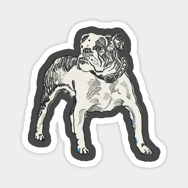 BullDog Magnet by Vintagehut