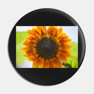 Sunflower Magic Pin