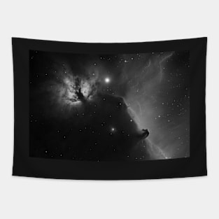 Deep space objects Flame Nebula and Horsehead Nebula in the constellation Orion Tapestry