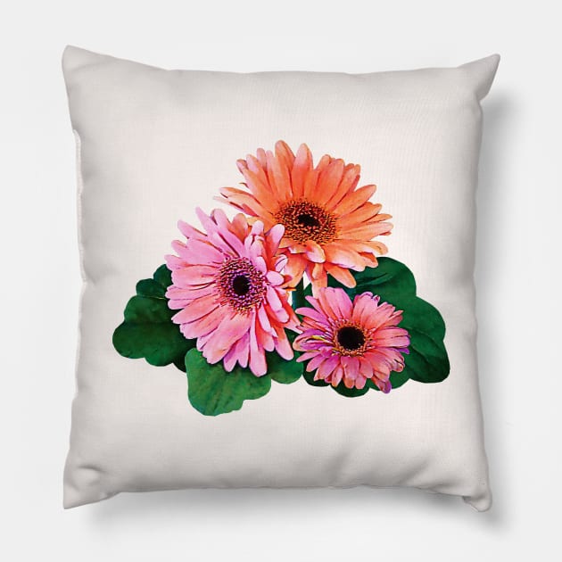 Pink and Orange Gerbera Daisies Pillow by SusanSavad