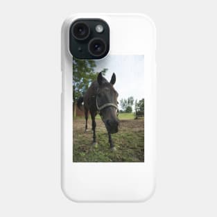 stallion Phone Case