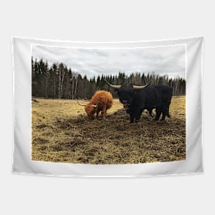 Scottish Highland Cattle Cow and Bull 2367 Tapestry