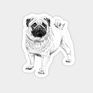 Mops Magnet