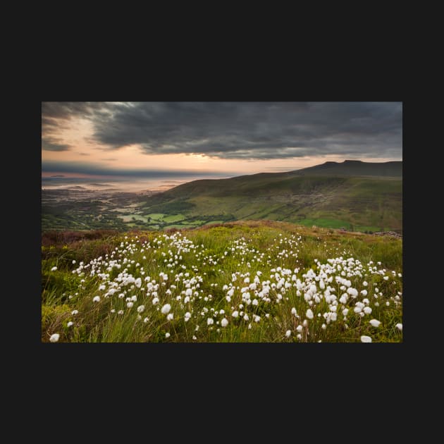 Glyn Tarell from Craig Cerrig-gleisiad with Pen y Fan and Corn Du, Brecon Beacons National Park, Wales by dasantillo