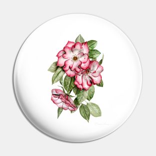 Portland Roses Pin