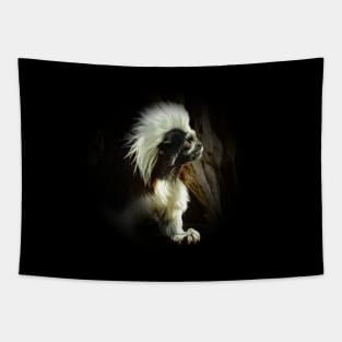 Cotton-top tamarin Tapestry