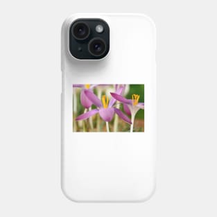 Crocus tommasinianus &#39;Roseus&#39; Phone Case