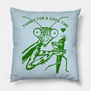 Funny husband gift | Thanks for a good time Pillow