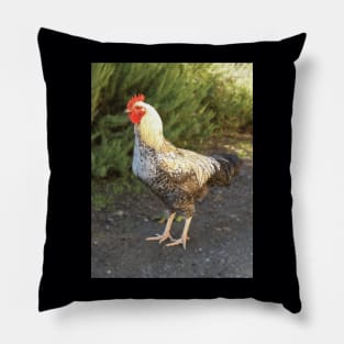 Rooster Pillow