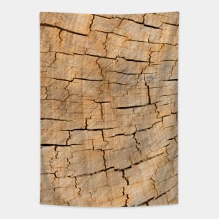 Naturally cracked wood Tapestry