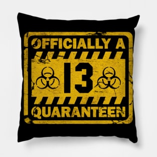 biohazard a Quaranteen 13th Pillow