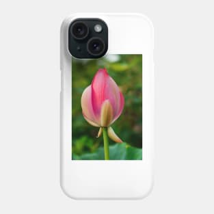 Lotus bud Phone Case