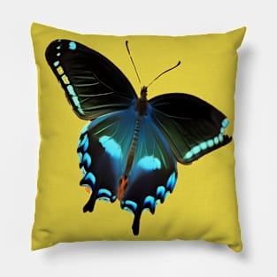 Butterfly Black and Blue Pillow