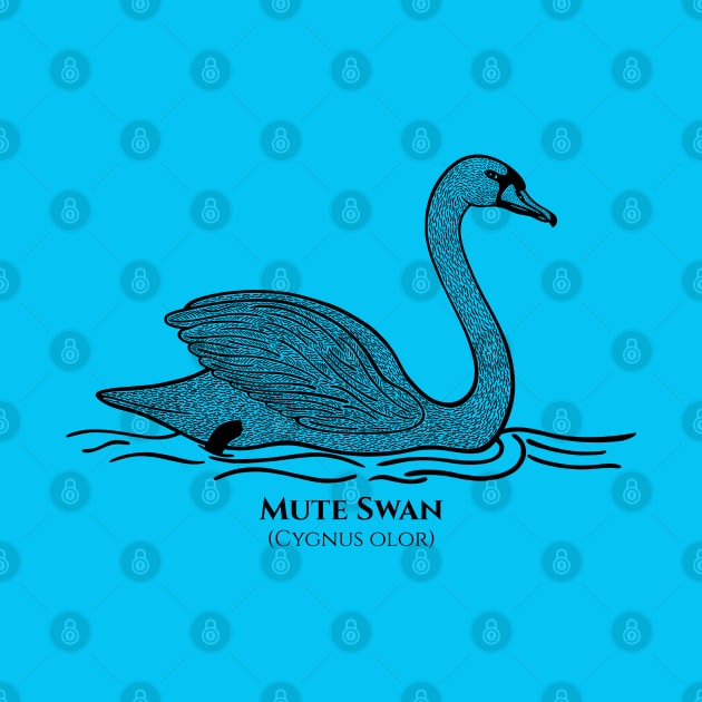 Mute Swan with Common and Scientific Name - detailed bird drawing by Green Paladin