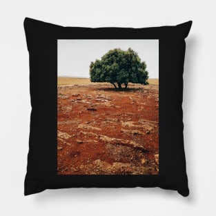 Olive Tree Pillow