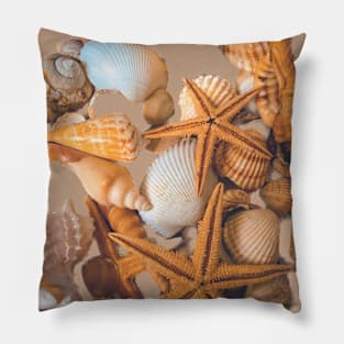 Summer Beach Seashells Pillow