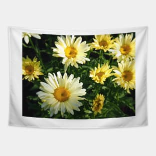 Daisy Flower Patch waking to the Morning Sunlight Tapestry