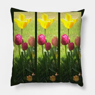 Tulips Pillow