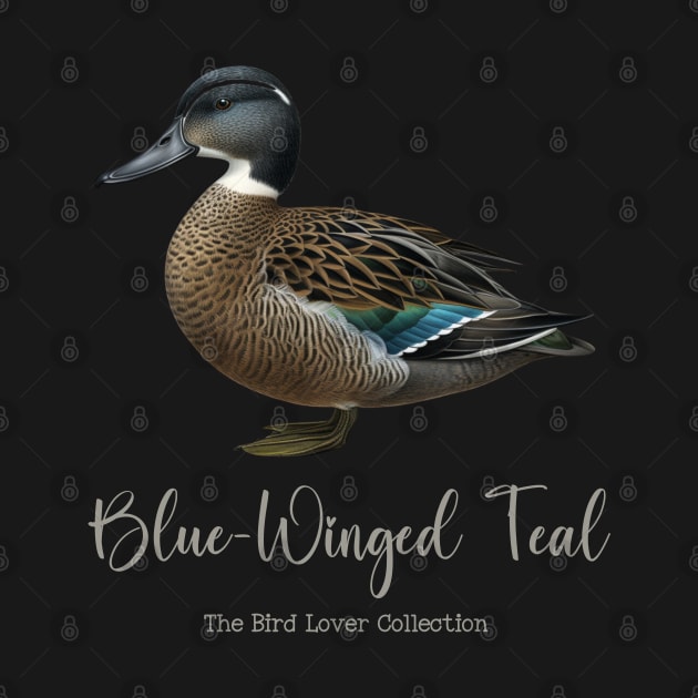 Blue-Winged Teal - The Bird Lover Collection by goodoldvintage