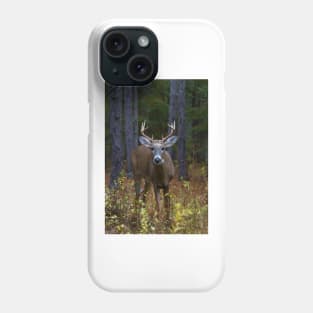 Curious Prince - White-tailed Buck Phone Case