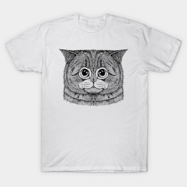 Cat 5 Cat T Shirt Teepublic