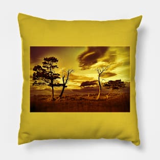 A Summer View Pillow