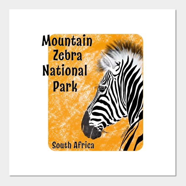 Mountain Zebra National Park, South Africa - Zebras - Posters and Art Prints | TeePublic Mountain Zebra National Park, South Africa - Zebras - Posters and Art Prints | TeePublic