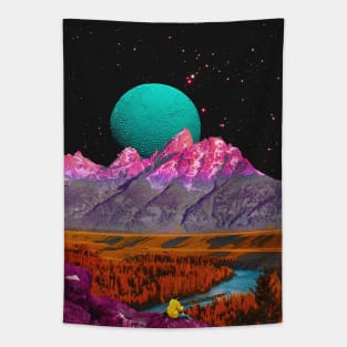 Convince Me That I'm Dreaming - Space Aesthetic, Retro Futurism, Sci-Fi Tapestry