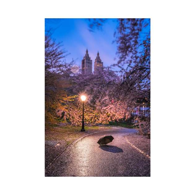 Central Park Spring Rainy 3 by igjustin