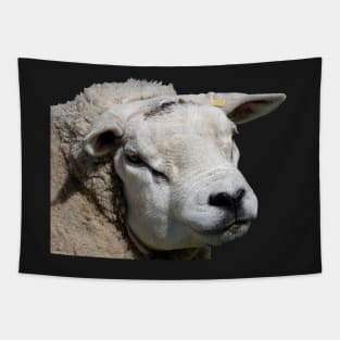 Very Pretty Sheep Tapestry