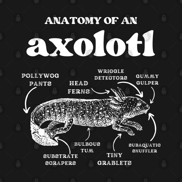 Anatomy of an axolotl axolotls lover by JustBeSatisfied